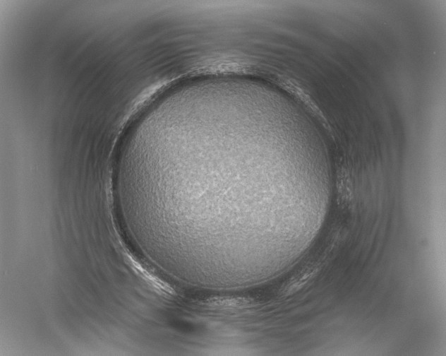 X0000058760629200510171200