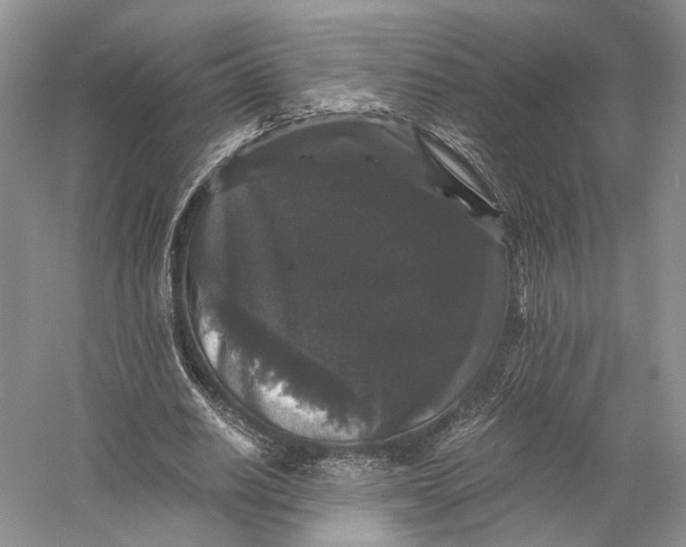X0000058760630200510171200