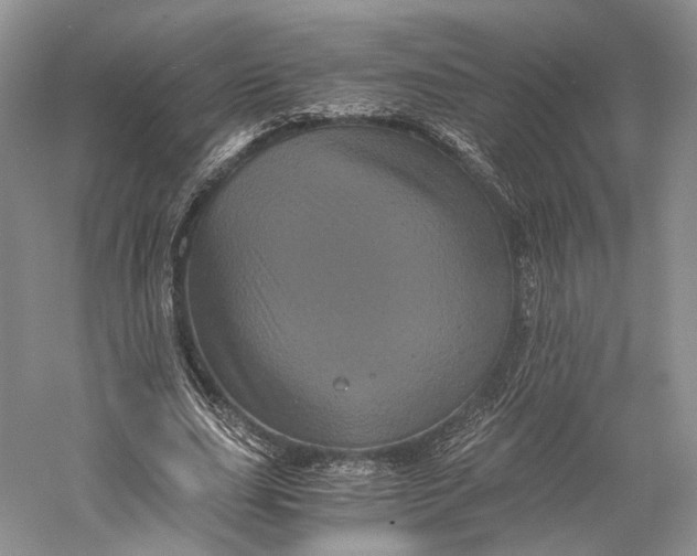 X0000058760631200510171200