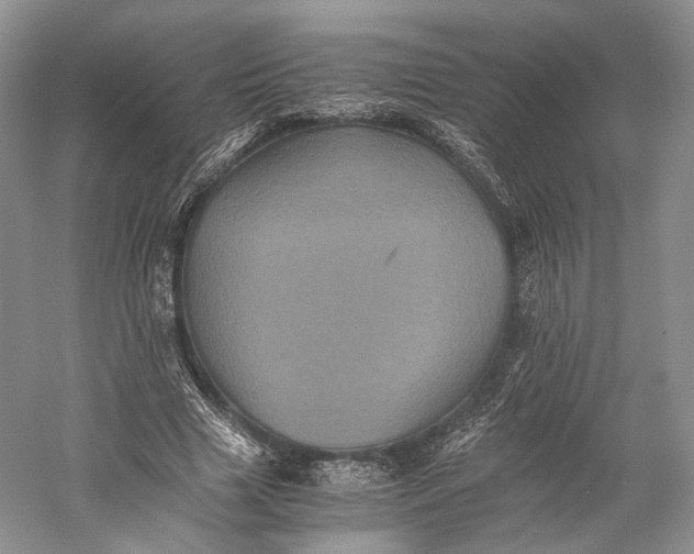 X0000058760633200510171200