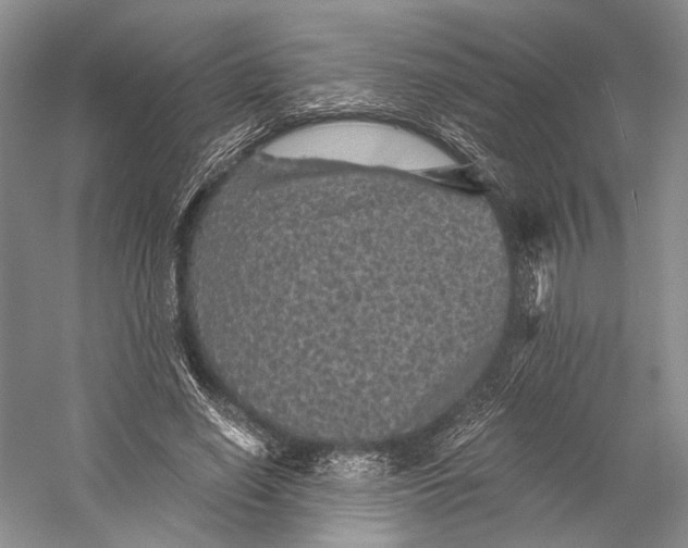 X0000058760638200510171200