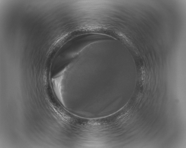 X0000058760640200510171200