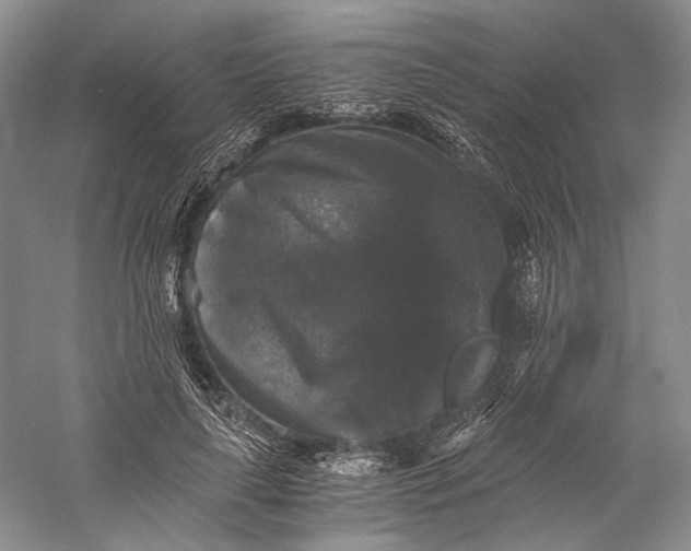 X0000058760643200510171200