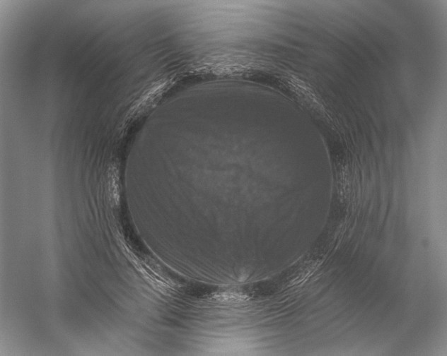 X0000058760644200510171200