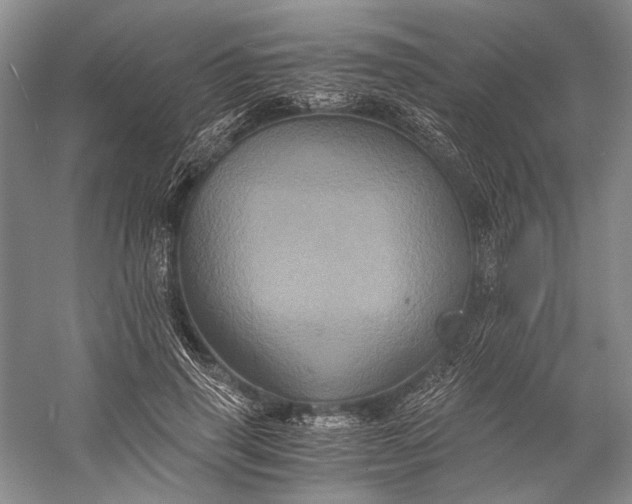 X0000058760645200510171200