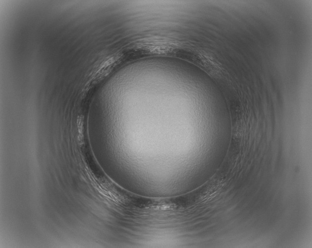 X0000058760646200510171200