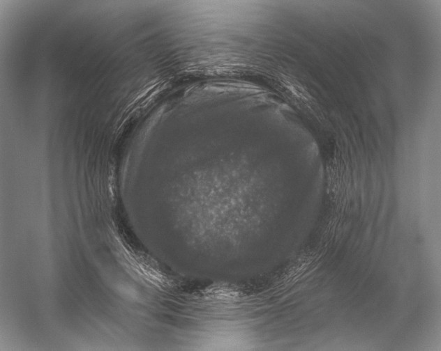 X0000058760648200510171200