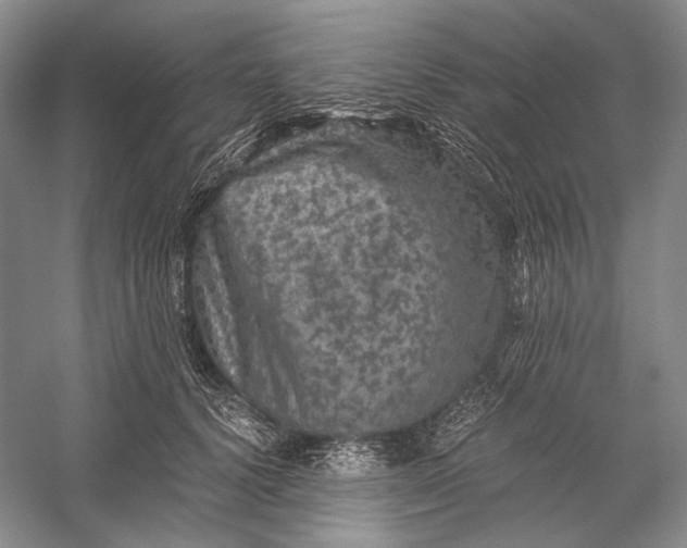 X0000058760656200510171200