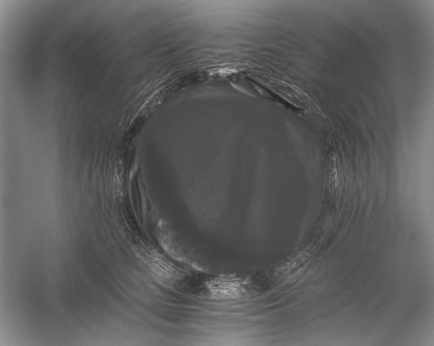 X0000058760661200510171200