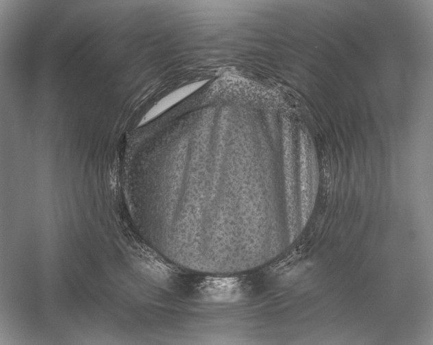 X0000058760665200510171200