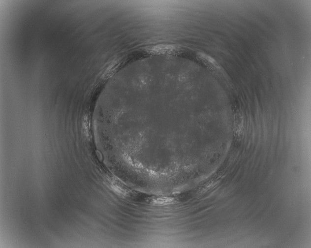 X0000058760669200510171200