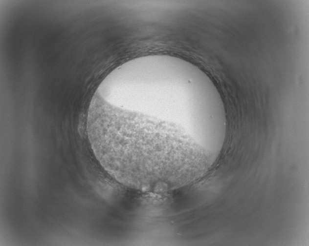 X0000058760672200510171201