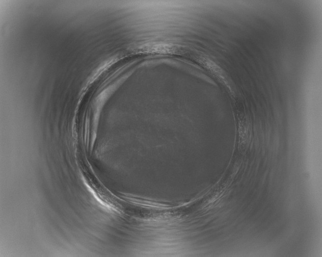 X0000058760674200510171200