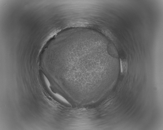 X0000058760675200510171200