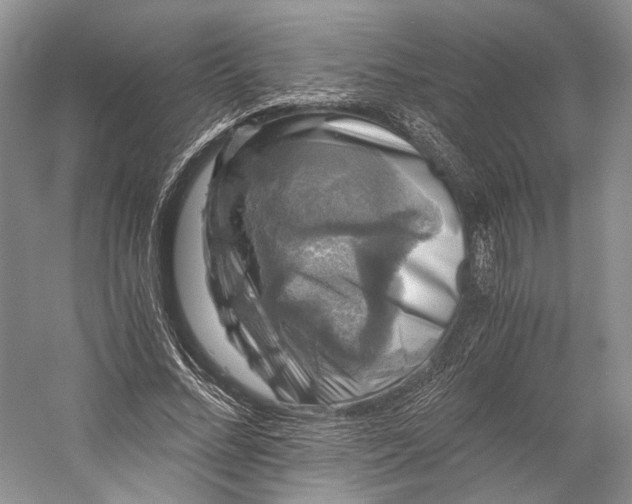 X0000058760684200510171200