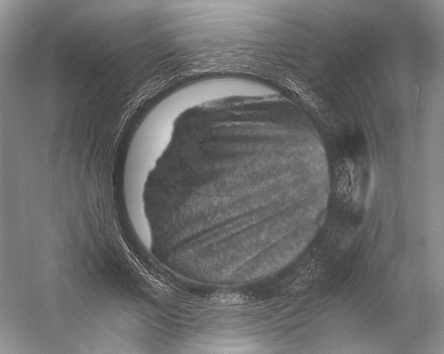 X0000058760685200510171200