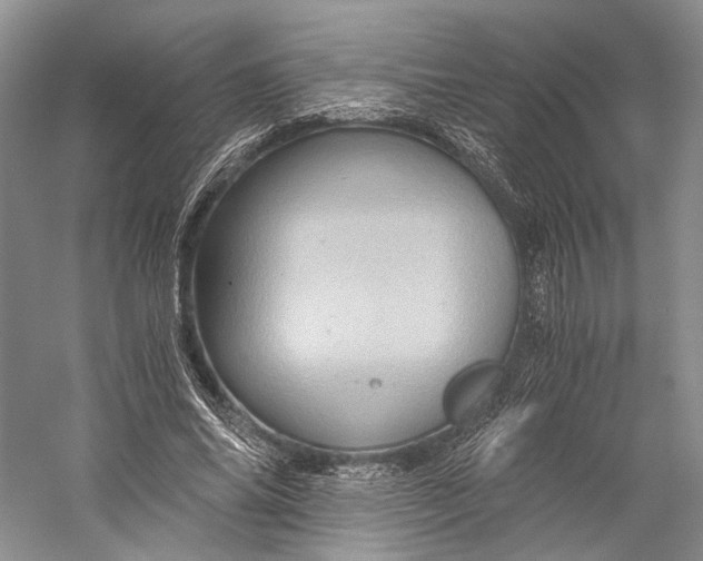 X0000058760686200510171159