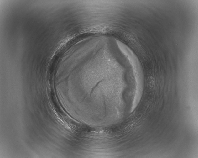 X0000058760688200510171159