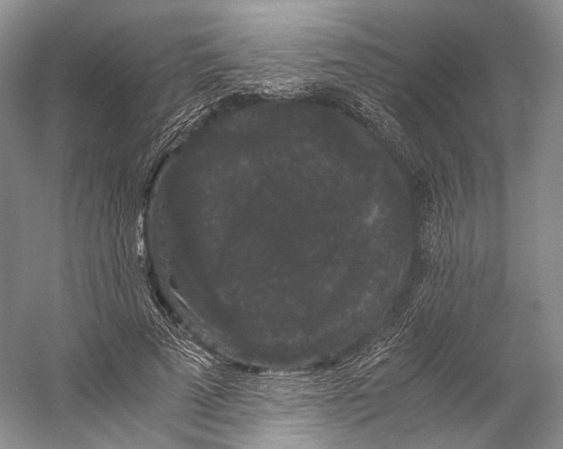 X0000058760689200510171159