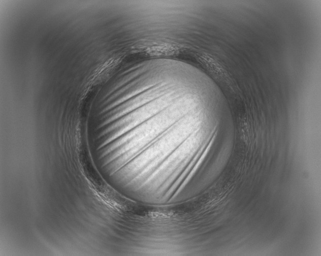 X0000058760690200510171159