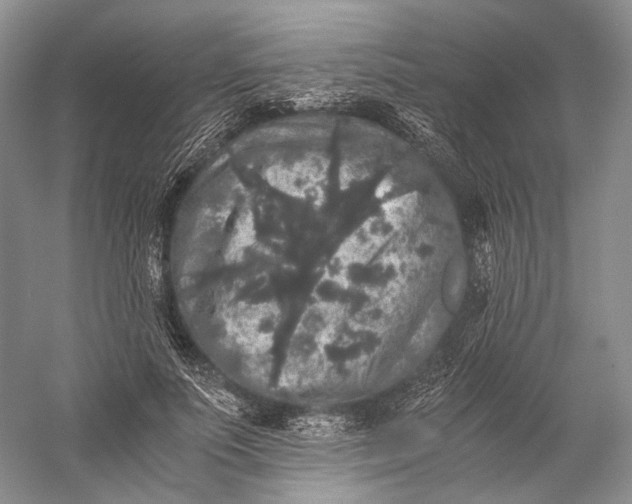 X0000058760691200510171159
