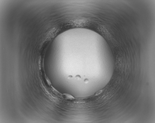 X0000058760694200510171159
