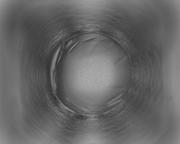 X0000058760696200510171159