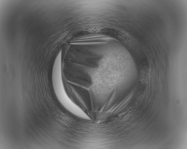 X0000058760697200510171159