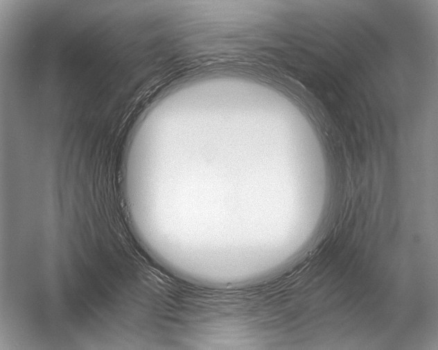 X0000058760701200510171159