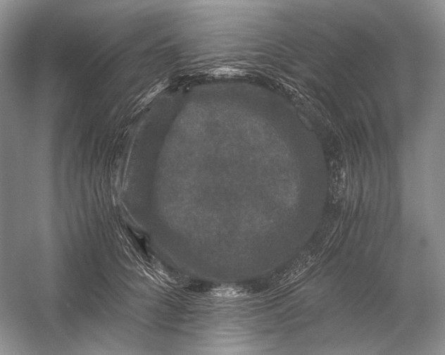 X0000058760704200510171159