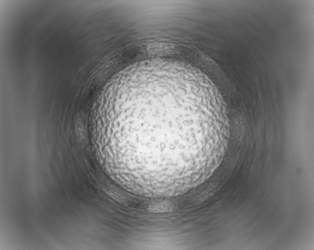 X0000058760705200510171159
