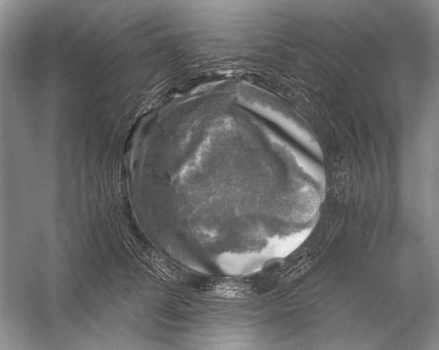 X0000058760708200510171159