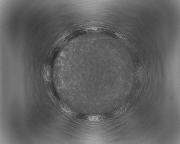 X0000058760709200510171159