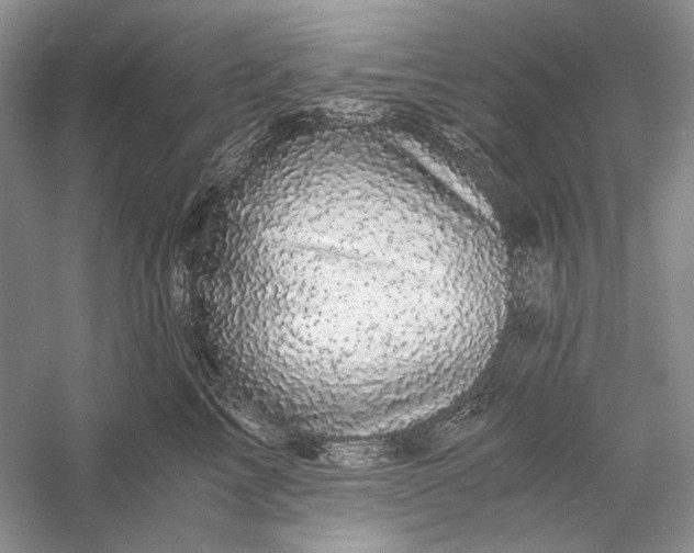 X0000058760713200510171159