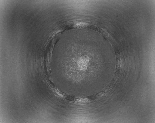 X0000058760716200510171159