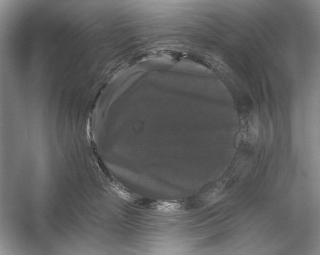 X0000058760718200510171159