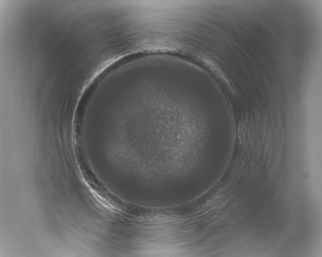 X0000058760722200510171158