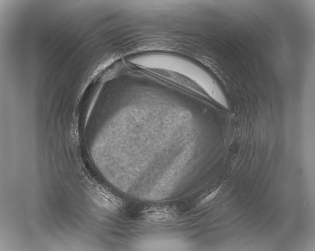 X0000058760727200510171158