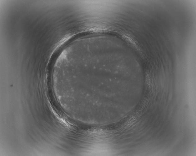 X0000058760730200510171158
