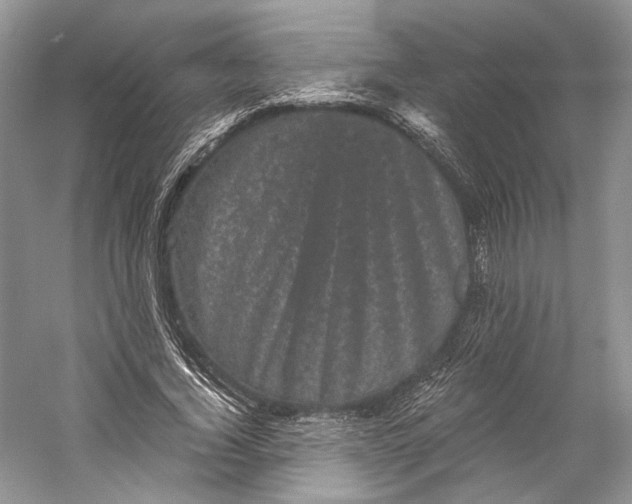 X0000058760732200510171158