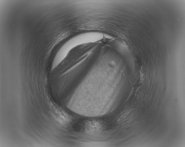 X0000058760735200510171158