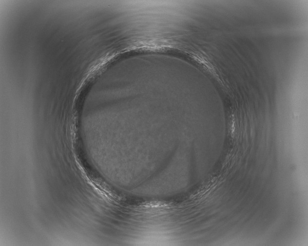 X0000058760736200510171158
