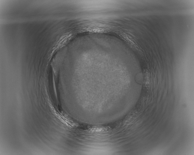 X0000058760738200510171158