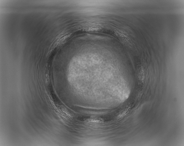 X0000058760743200510171158