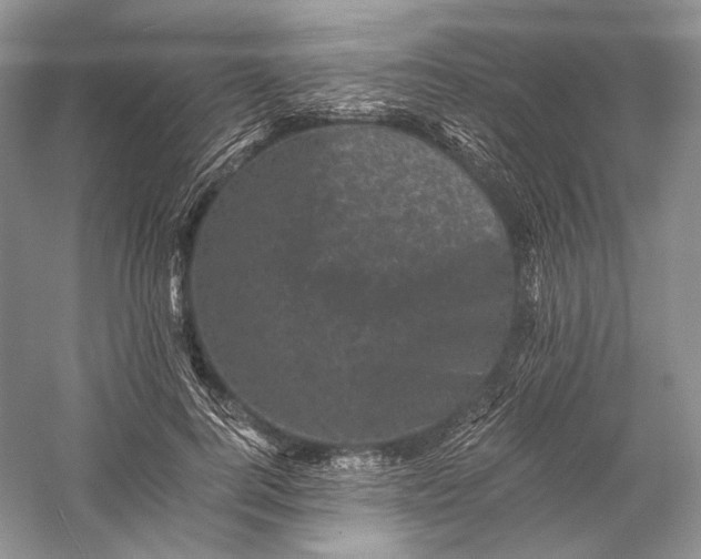 X0000058760744200510171158