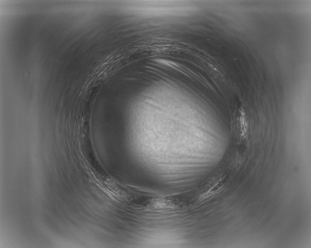 X0000058760750200510171159