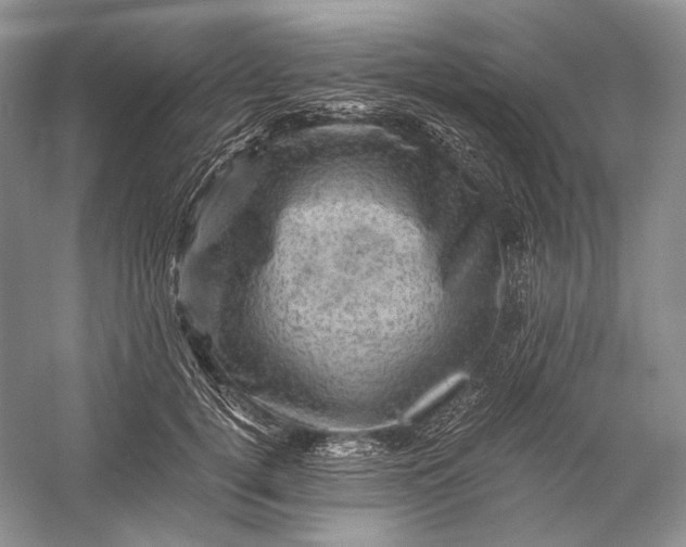 X0000058760752200510171159