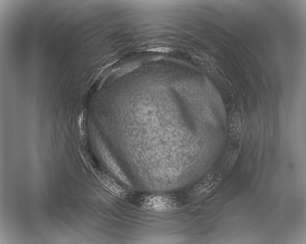 X0000058760755200510171159