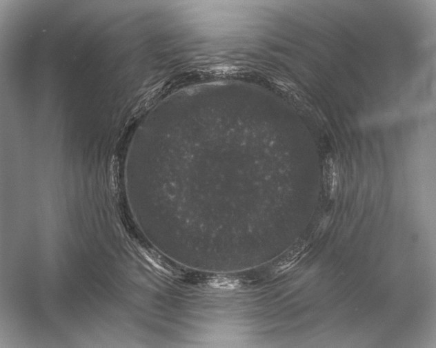 X0000058760760200510171159