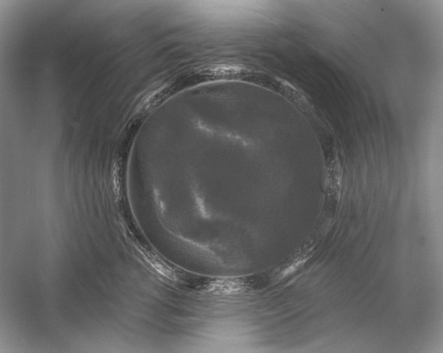 X0000058760762200510171159